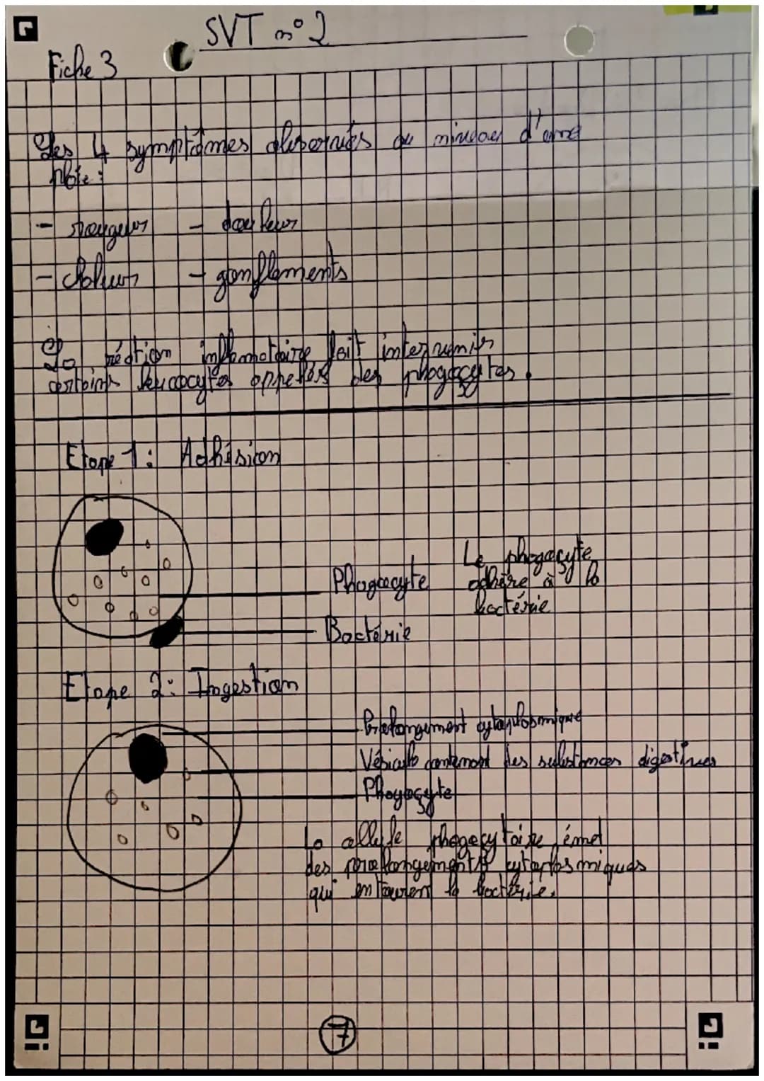récepteurs
Orgomer
sensoriels
science
et nie de la
terse
Careilles = 7 auditif
усих =) гузмери
(my =>
=7 alfactif
L> STIMULUS
contraction me
