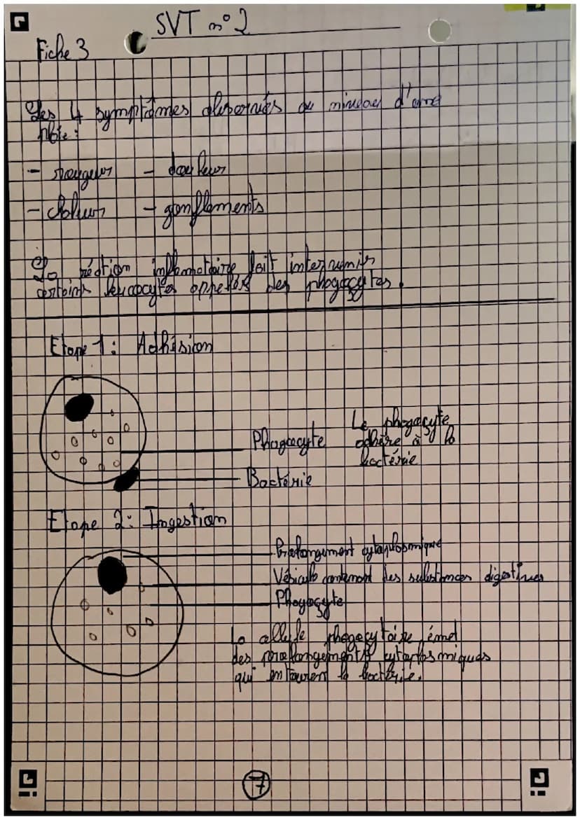 récepteurs
Orgomer
sensoriels
science
et nie de la
terse
Careilles = 7 auditif
усих =) гузмери
(my =>
=7 alfactif
L> STIMULUS
contraction me