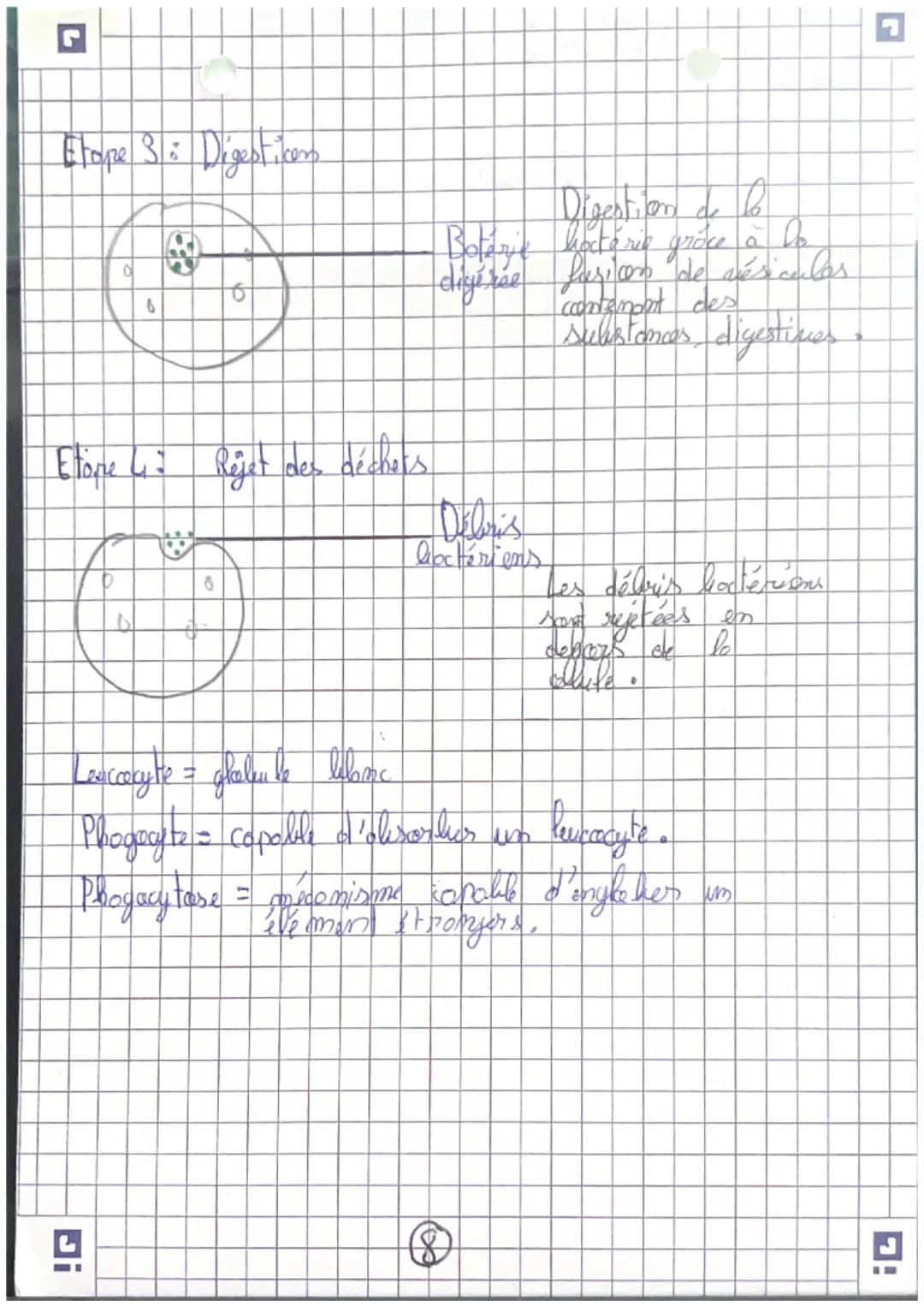 récepteurs
Orgomer
sensoriels
science
et nie de la
terse
Careilles = 7 auditif
усих =) гузмери
(my =>
=7 alfactif
L> STIMULUS
contraction me