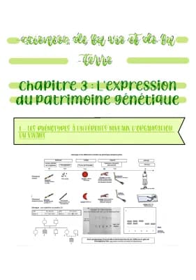 Know Spé SVT - Génétique - Chapitre 3 : L’espression du patrimoine génétique thumbnail