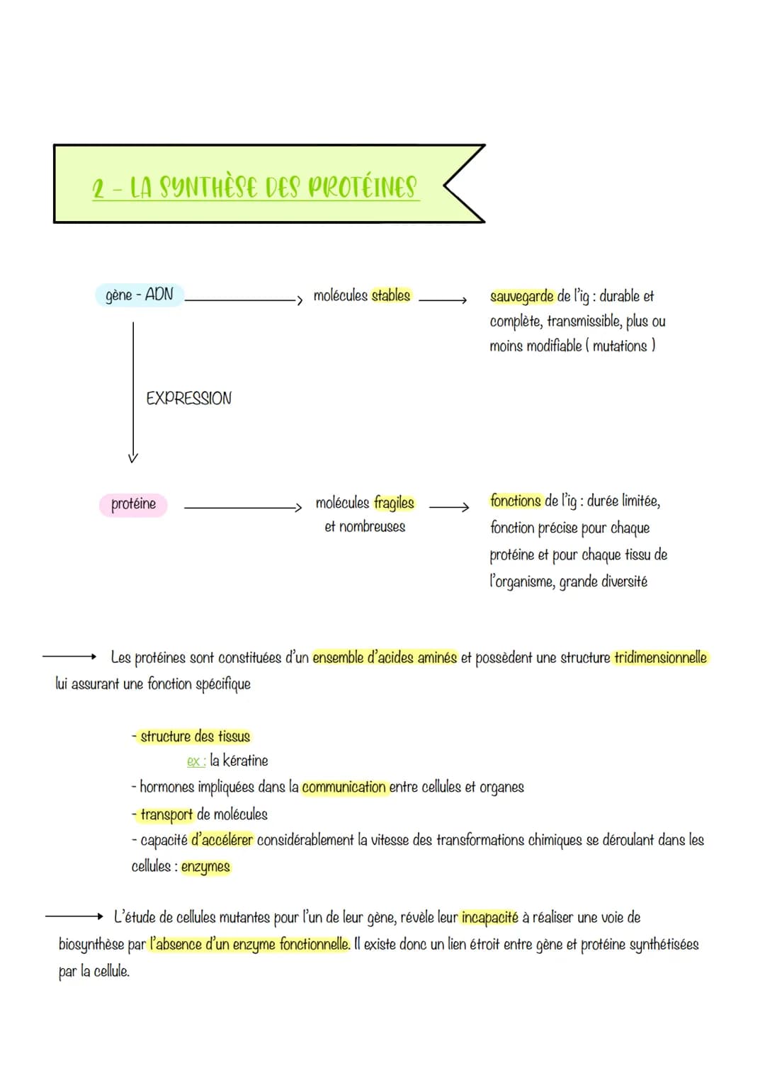 sciences, de la vie et de la
terre
Chapitre 3 : L'expression
du patrimoine génétique
1- LES PHÉNOTYPES À DIFFÉRENTS NIVEAUX D'ORGANISATION
D