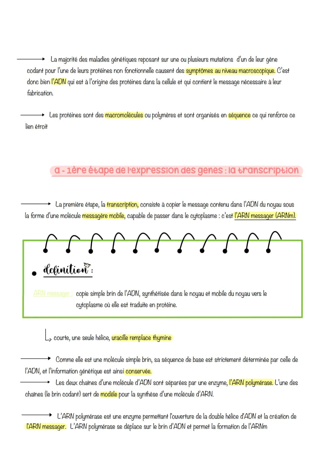 sciences, de la vie et de la
terre
Chapitre 3 : L'expression
du patrimoine génétique
1- LES PHÉNOTYPES À DIFFÉRENTS NIVEAUX D'ORGANISATION
D