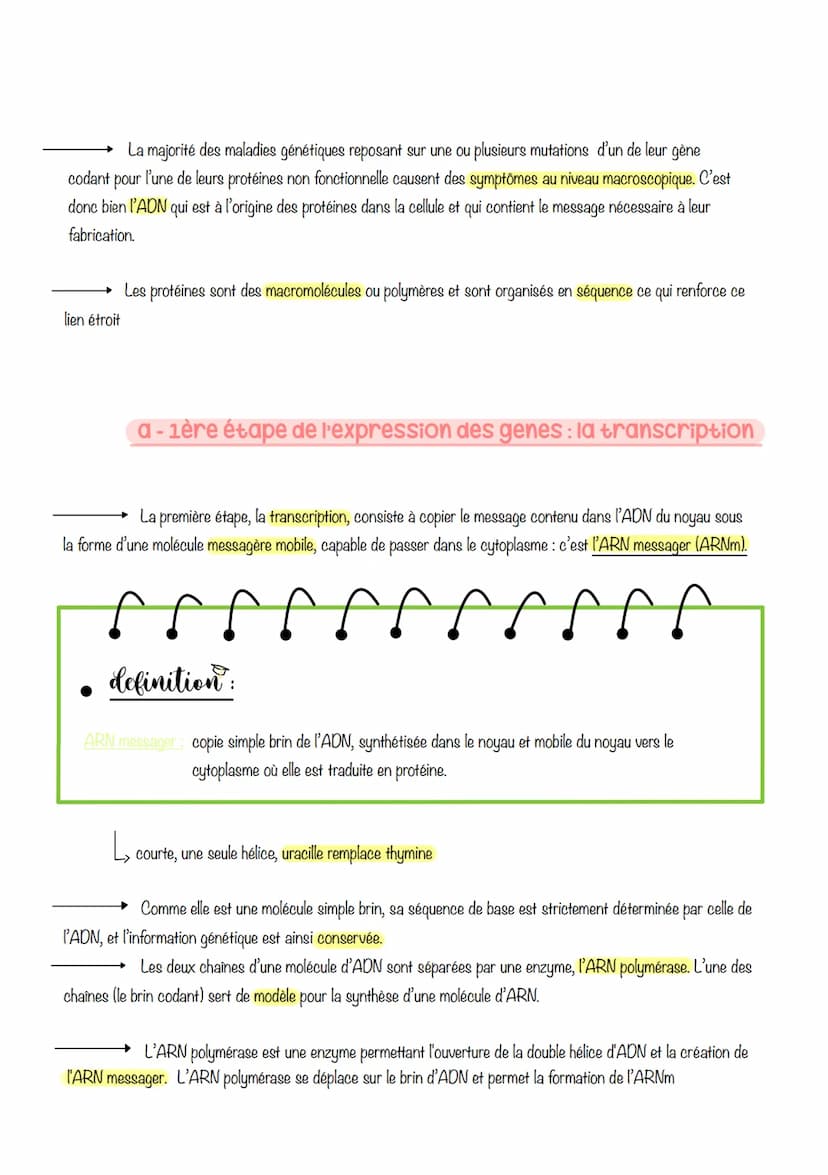 sciences, de la vie et de la
terre
Chapitre 3 : L'expression
du patrimoine génétique
1- LES PHÉNOTYPES À DIFFÉRENTS NIVEAUX D'ORGANISATION
D
