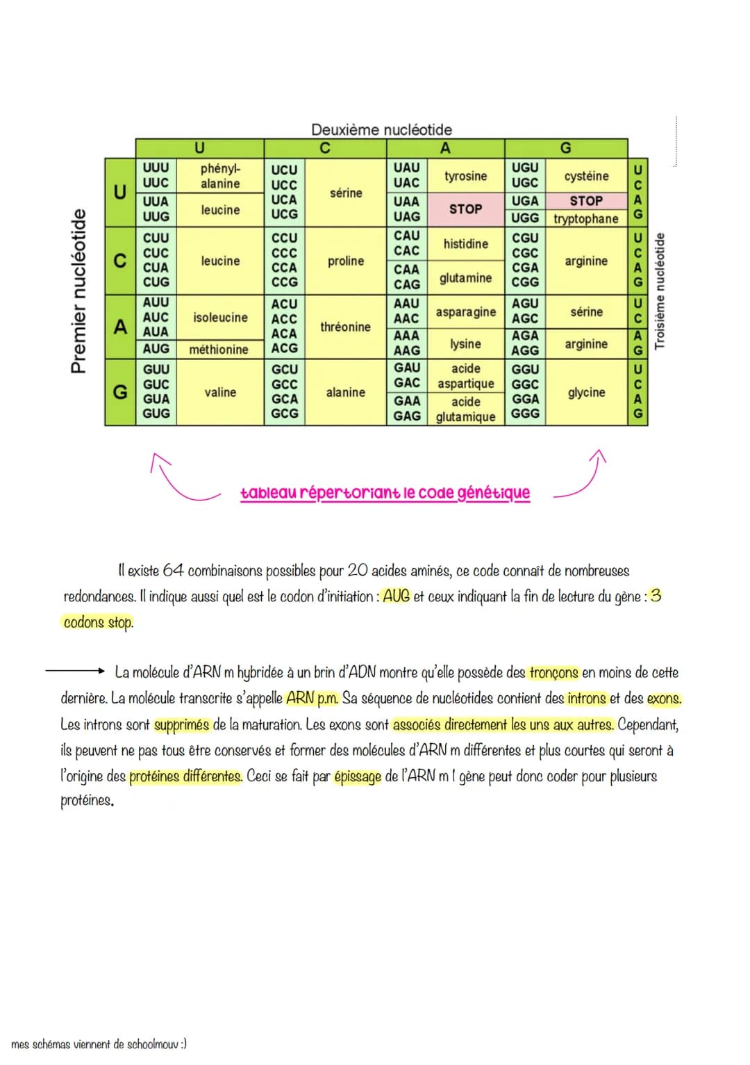 sciences, de la vie et de la
terre
Chapitre 3 : L'expression
du patrimoine génétique
1- LES PHÉNOTYPES À DIFFÉRENTS NIVEAUX D'ORGANISATION
D