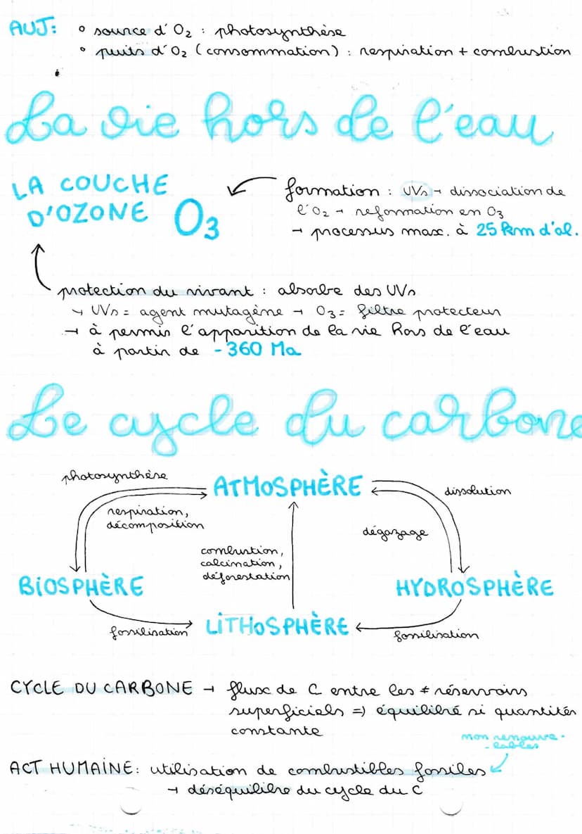 atmosphère
TERRESTRE ET LA VIE
L'at. primitive ET LES
OCÉANS
80% H₂O
15% CO₂ 5% №₂
COMPOSITION
✓ formée il y a 4,56 Ga par:
dégazage du mant