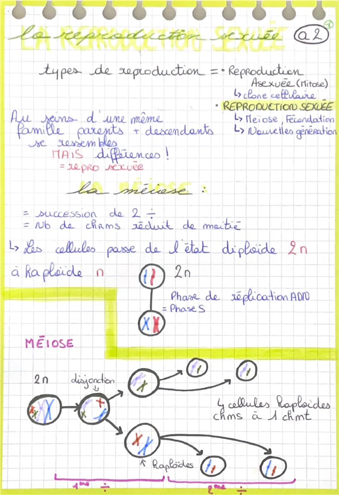 lo reproduction secure a2
types de reproduction = Reproduction
Au seins d'une même
famille parents + descendants
se ressembles
MAIS differen