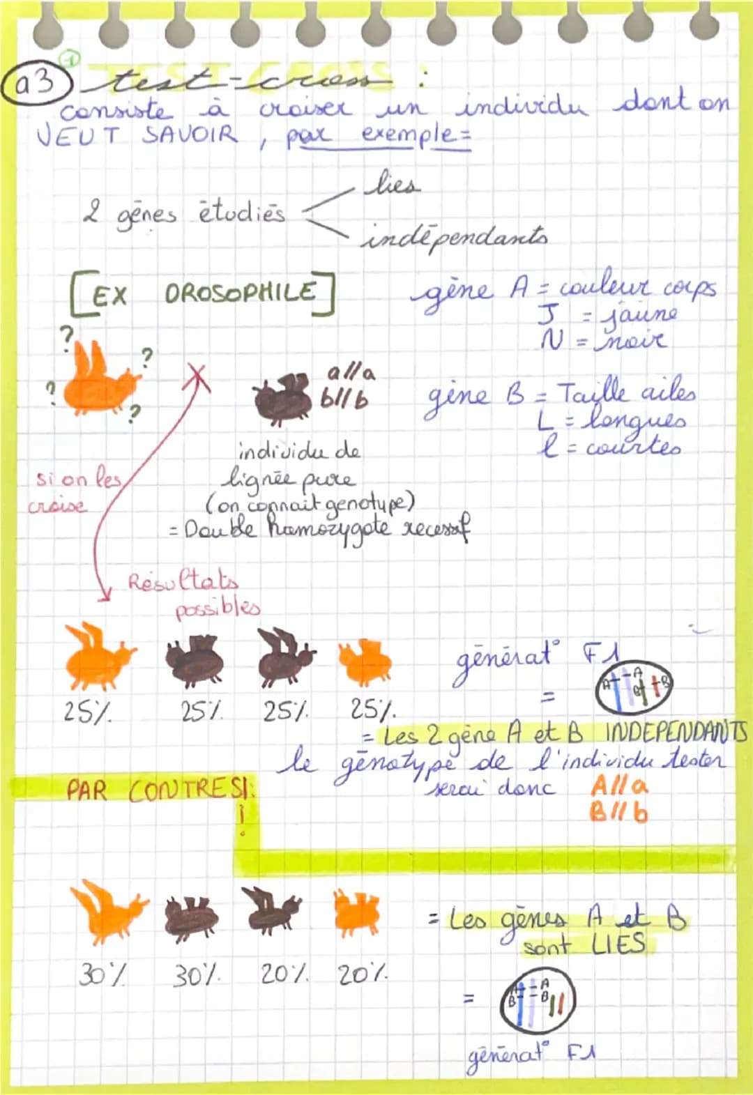 lo reproduction secure a2
types de reproduction = Reproduction
Au seins d'une même
famille parents + descendants
se ressembles
MAIS differen