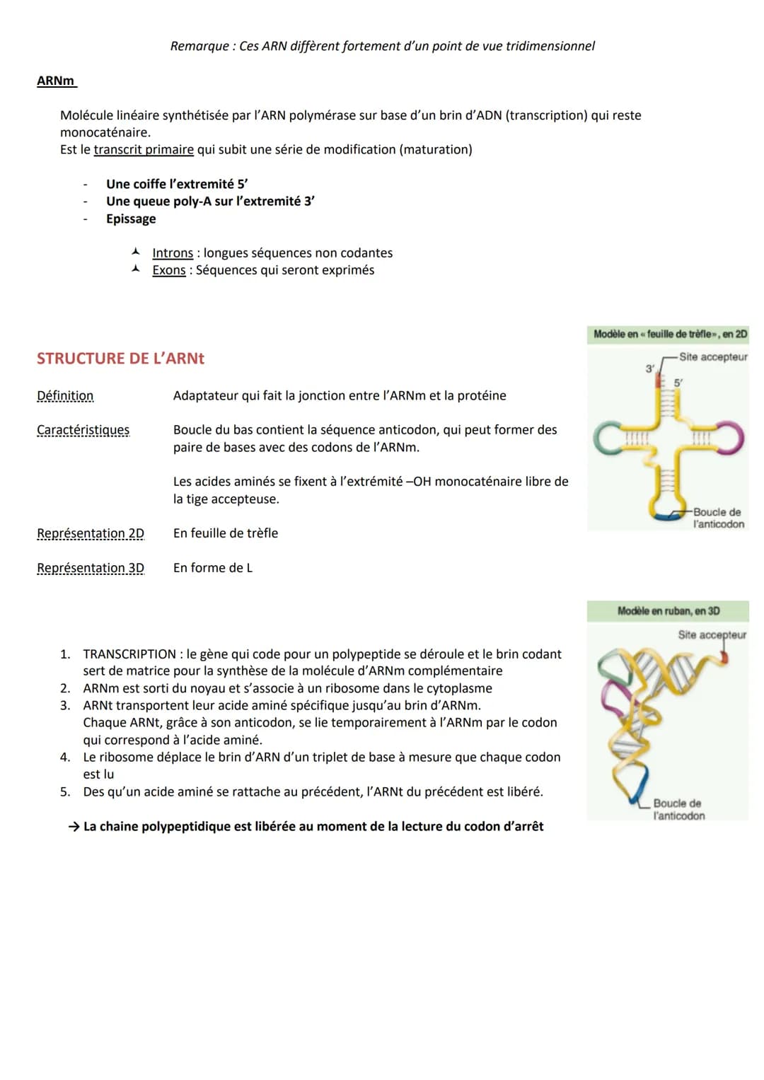 INTRODUCTION
Matériel génétique ou génome
DEFINITION
Remarque c'est l'ADN qui encode l'information nécessaire à l'assemblage des protéines
I