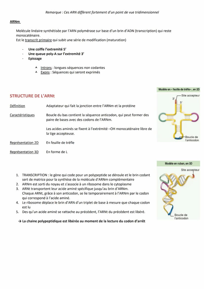 INTRODUCTION
Matériel génétique ou génome
DEFINITION
Remarque c'est l'ADN qui encode l'information nécessaire à l'assemblage des protéines
I