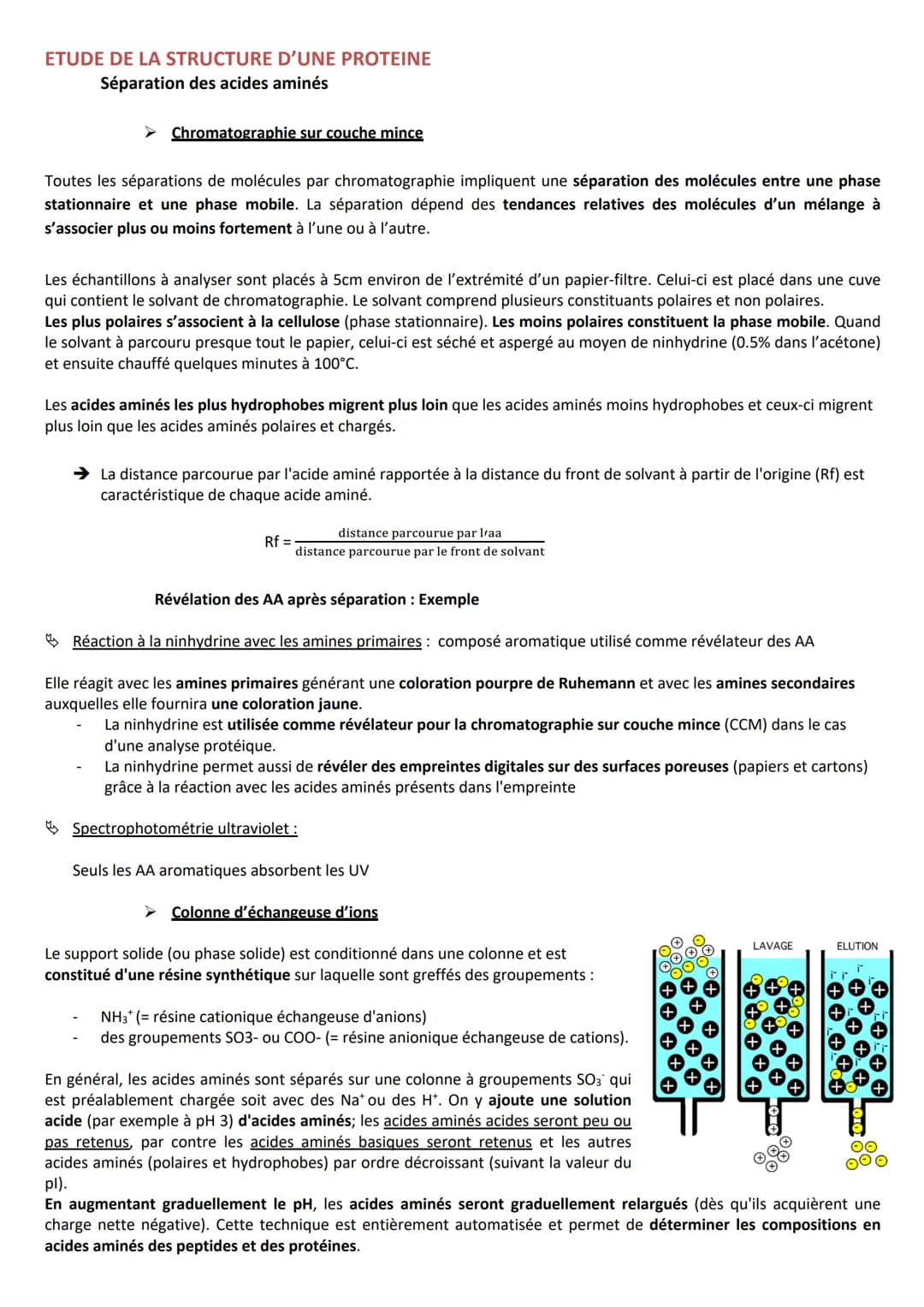 INTRODUCTION
Caractéristiques
CLASSIFICATION
RÔLES
➤ Agent de protection, de défense = immunoglobulines
➤ Régulation hormonale = Insuline, g