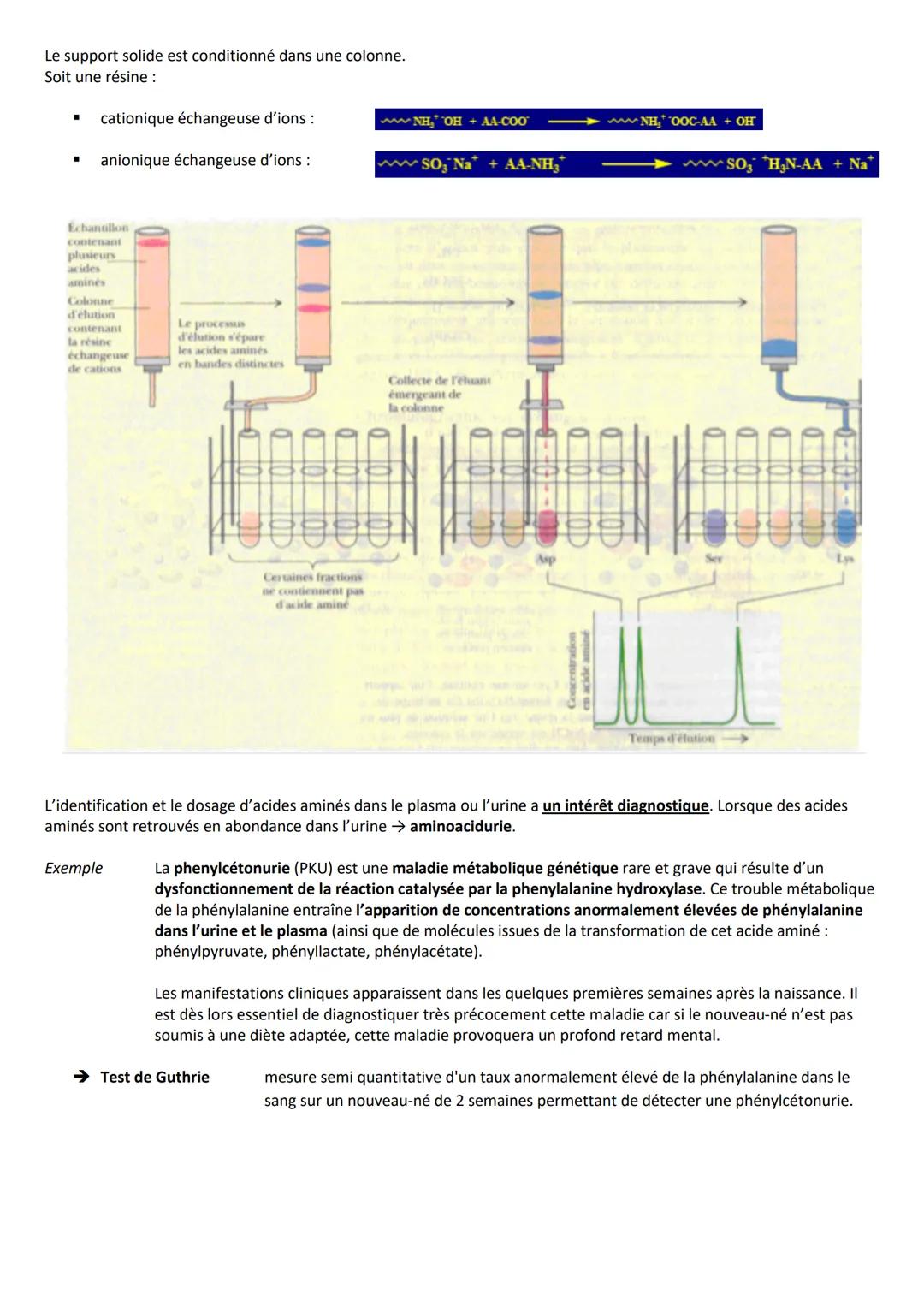 INTRODUCTION
Caractéristiques
CLASSIFICATION
RÔLES
➤ Agent de protection, de défense = immunoglobulines
➤ Régulation hormonale = Insuline, g