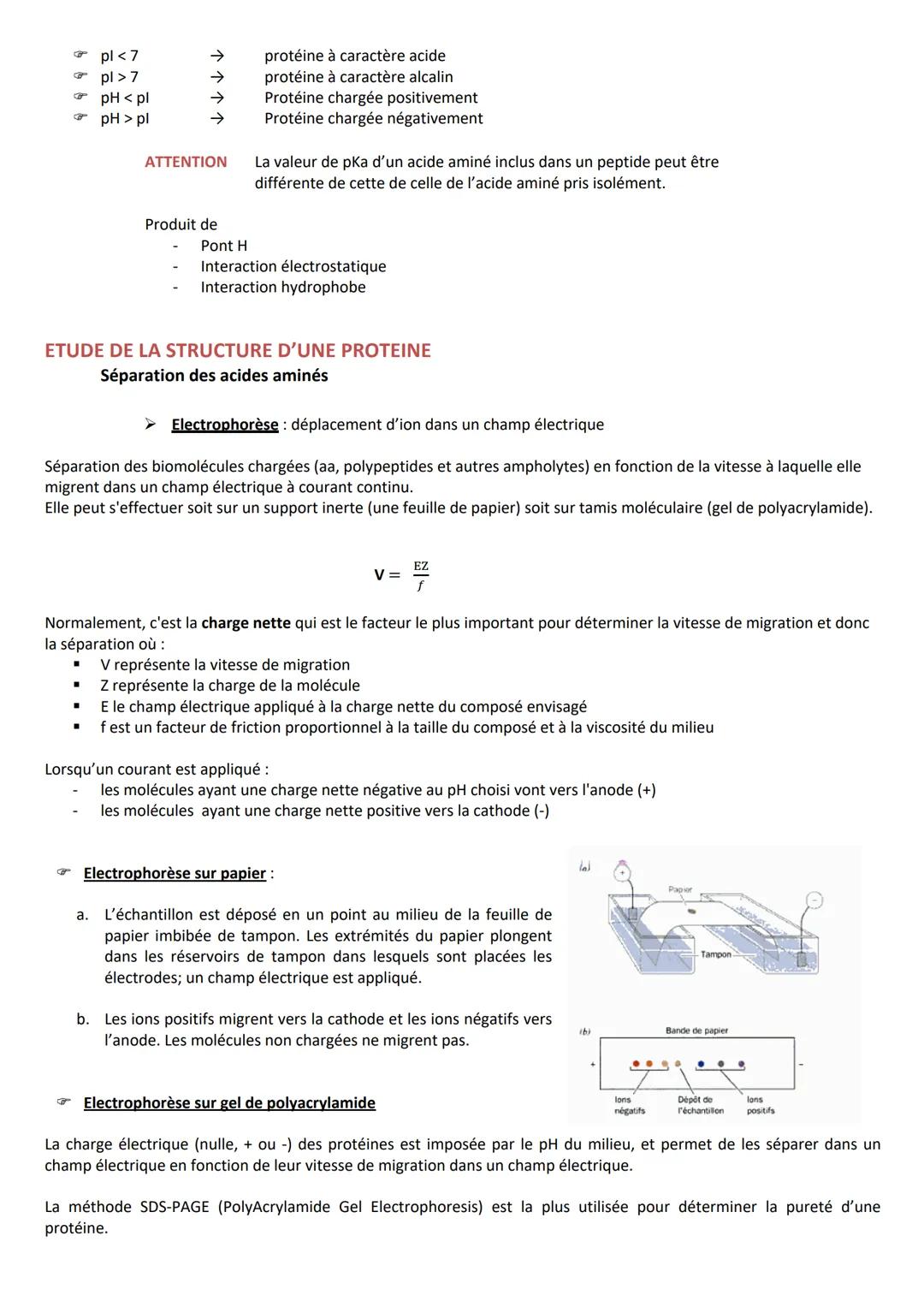 INTRODUCTION
Caractéristiques
CLASSIFICATION
RÔLES
➤ Agent de protection, de défense = immunoglobulines
➤ Régulation hormonale = Insuline, g