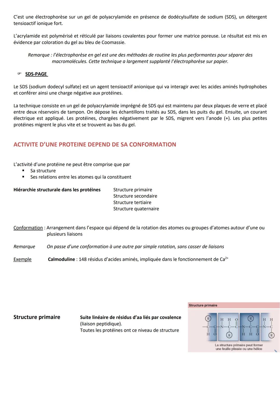 INTRODUCTION
Caractéristiques
CLASSIFICATION
RÔLES
➤ Agent de protection, de défense = immunoglobulines
➤ Régulation hormonale = Insuline, g