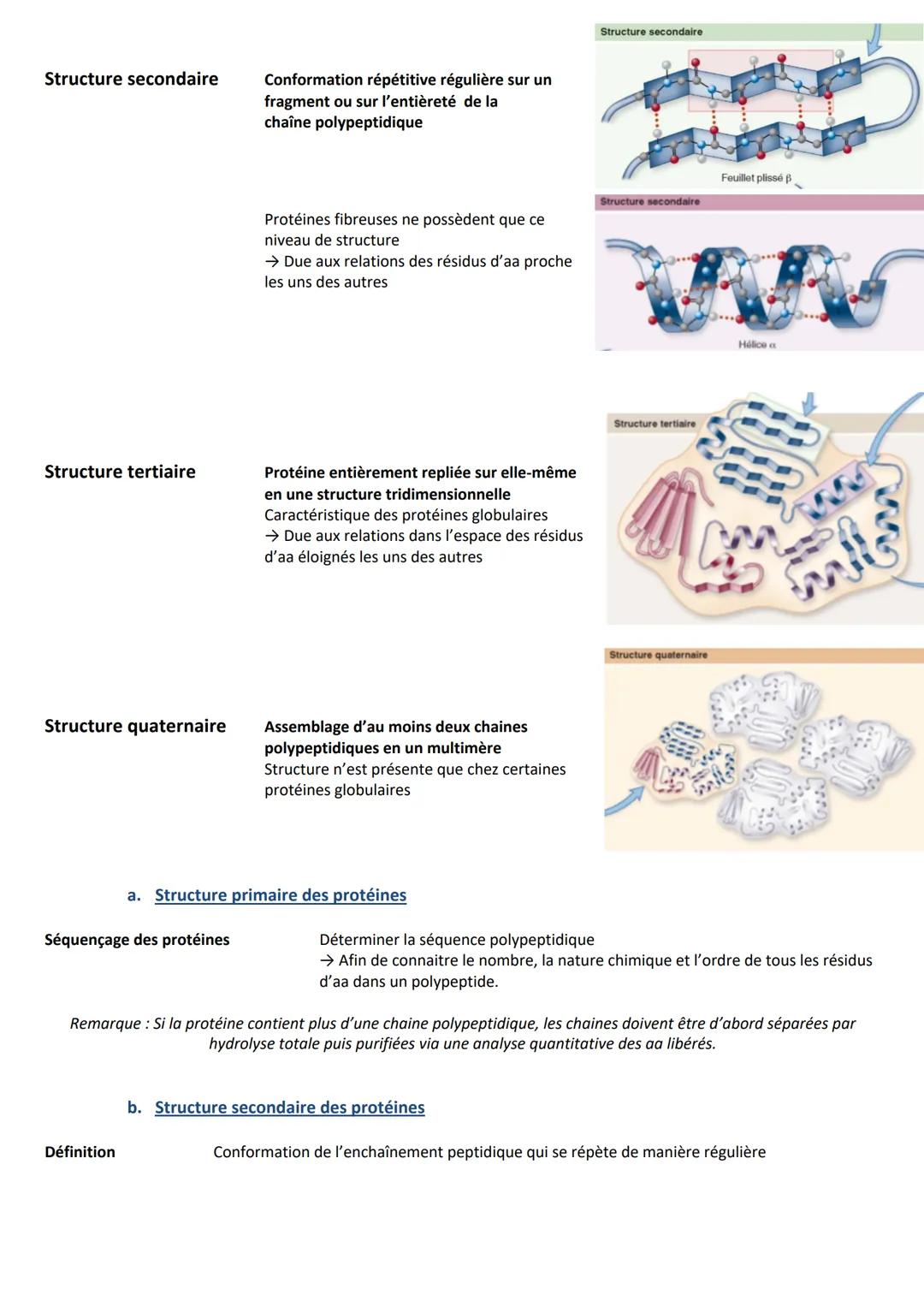 INTRODUCTION
Caractéristiques
CLASSIFICATION
RÔLES
➤ Agent de protection, de défense = immunoglobulines
➤ Régulation hormonale = Insuline, g