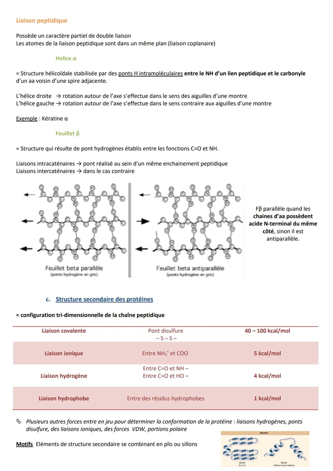 INTRODUCTION
Caractéristiques
CLASSIFICATION
RÔLES
➤ Agent de protection, de défense = immunoglobulines
➤ Régulation hormonale = Insuline, g