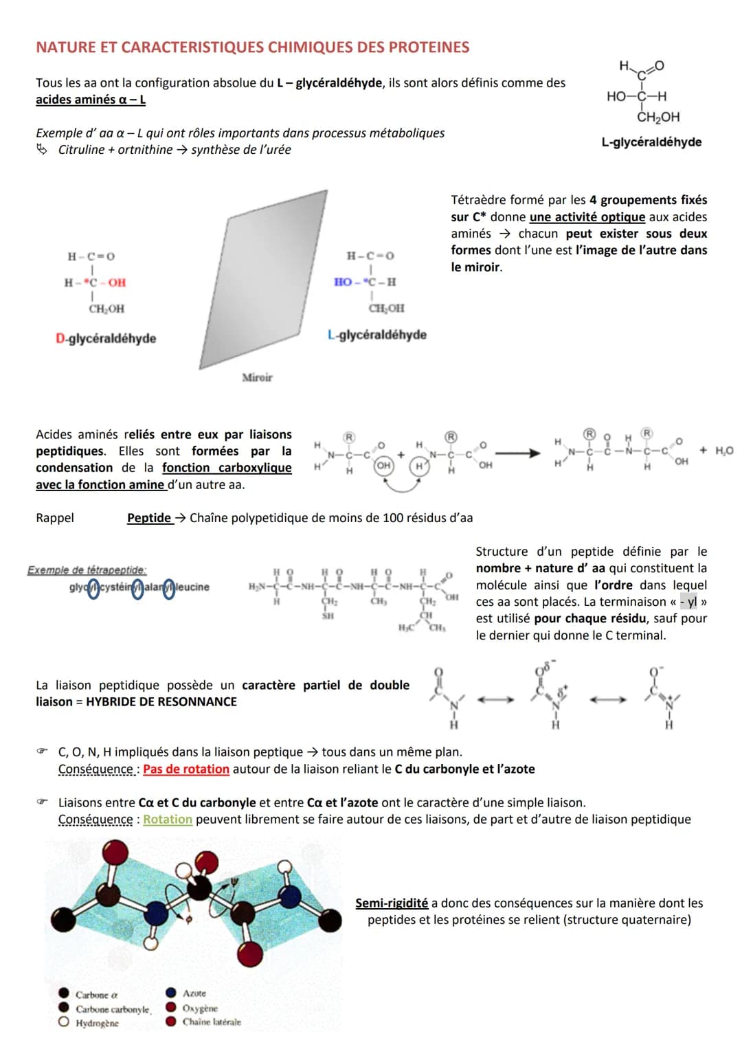 INTRODUCTION
Caractéristiques
CLASSIFICATION
RÔLES
➤ Agent de protection, de défense = immunoglobulines
➤ Régulation hormonale = Insuline, g