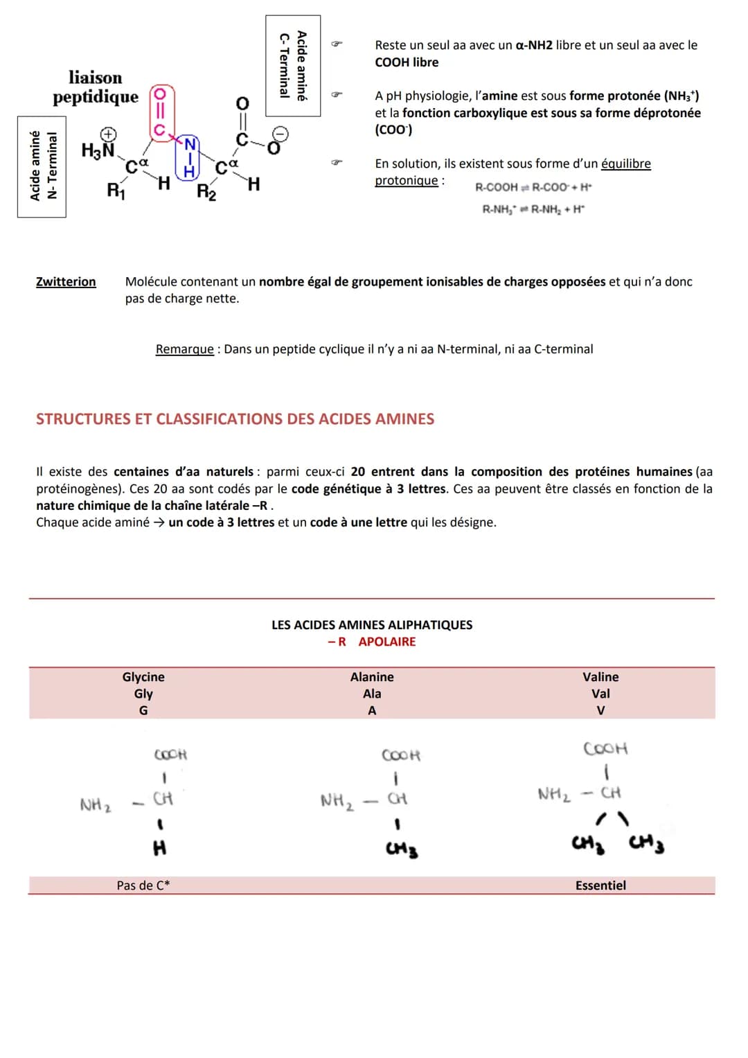 INTRODUCTION
Caractéristiques
CLASSIFICATION
RÔLES
➤ Agent de protection, de défense = immunoglobulines
➤ Régulation hormonale = Insuline, g