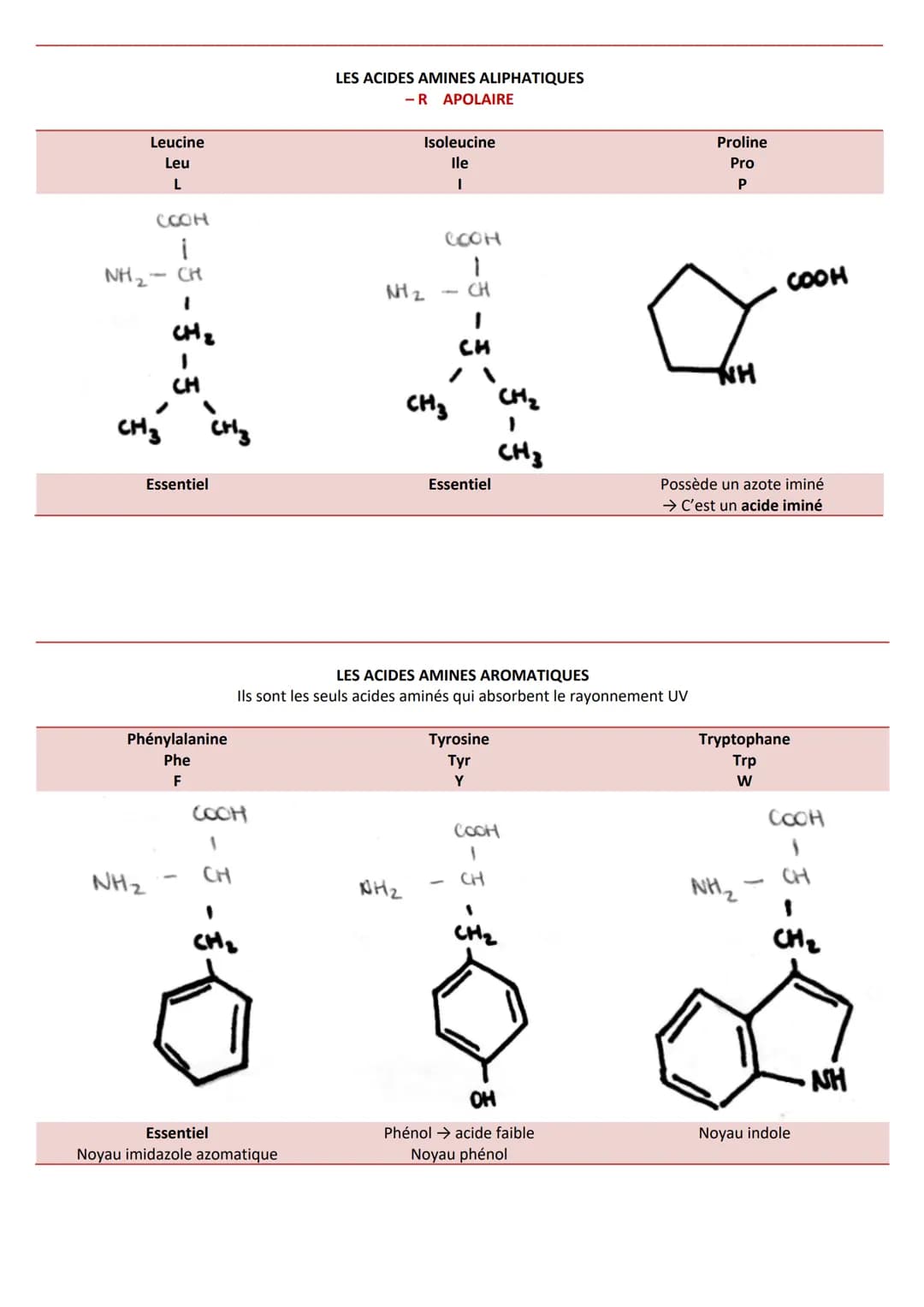 INTRODUCTION
Caractéristiques
CLASSIFICATION
RÔLES
➤ Agent de protection, de défense = immunoglobulines
➤ Régulation hormonale = Insuline, g