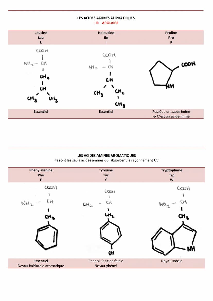 INTRODUCTION
Caractéristiques
CLASSIFICATION
RÔLES
➤ Agent de protection, de défense = immunoglobulines
➤ Régulation hormonale = Insuline, g