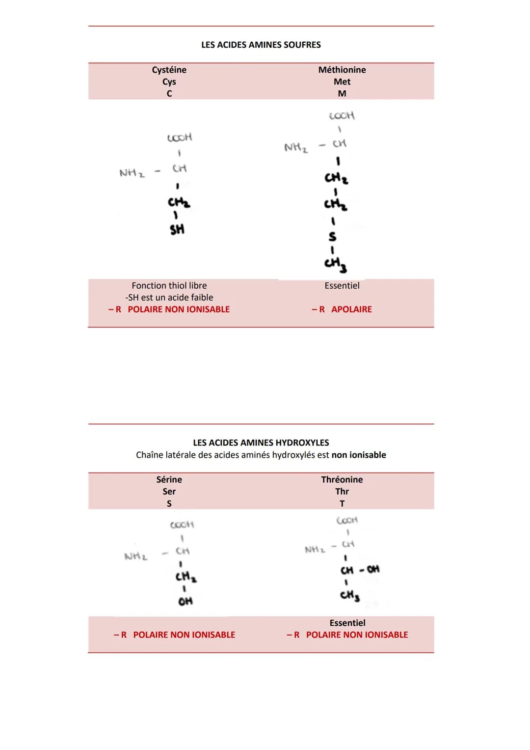 INTRODUCTION
Caractéristiques
CLASSIFICATION
RÔLES
➤ Agent de protection, de défense = immunoglobulines
➤ Régulation hormonale = Insuline, g