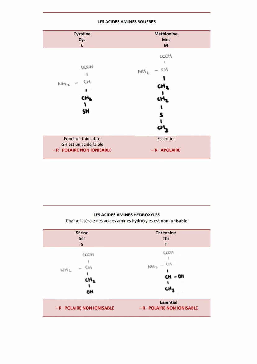 INTRODUCTION
Caractéristiques
CLASSIFICATION
RÔLES
➤ Agent de protection, de défense = immunoglobulines
➤ Régulation hormonale = Insuline, g