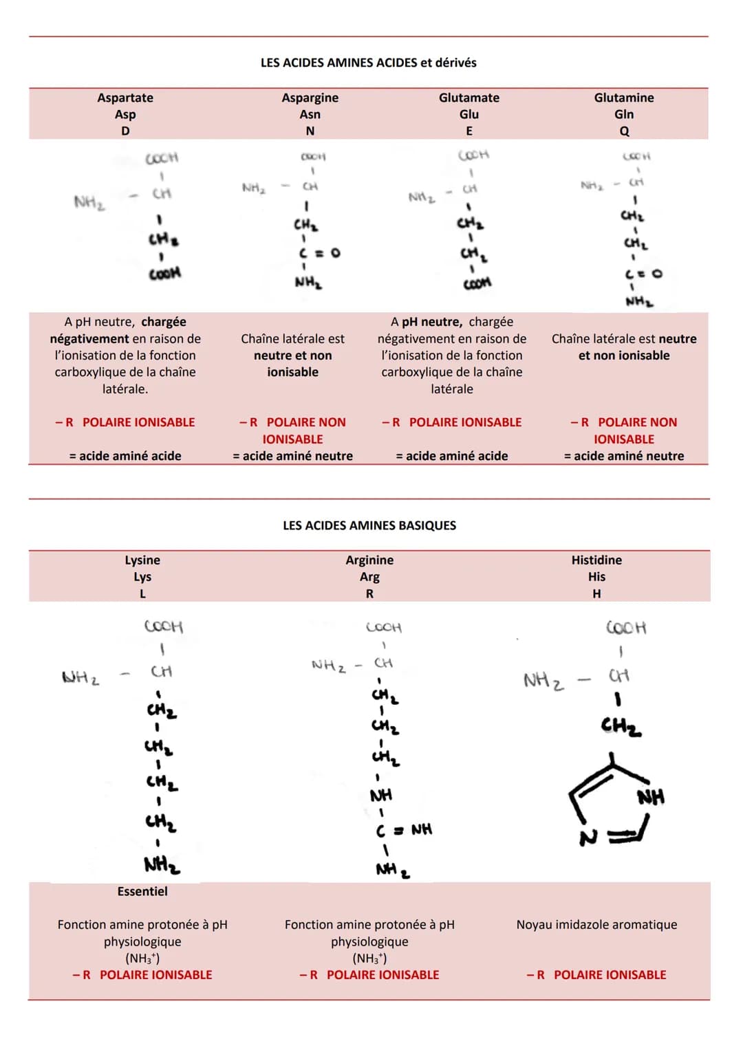 INTRODUCTION
Caractéristiques
CLASSIFICATION
RÔLES
➤ Agent de protection, de défense = immunoglobulines
➤ Régulation hormonale = Insuline, g