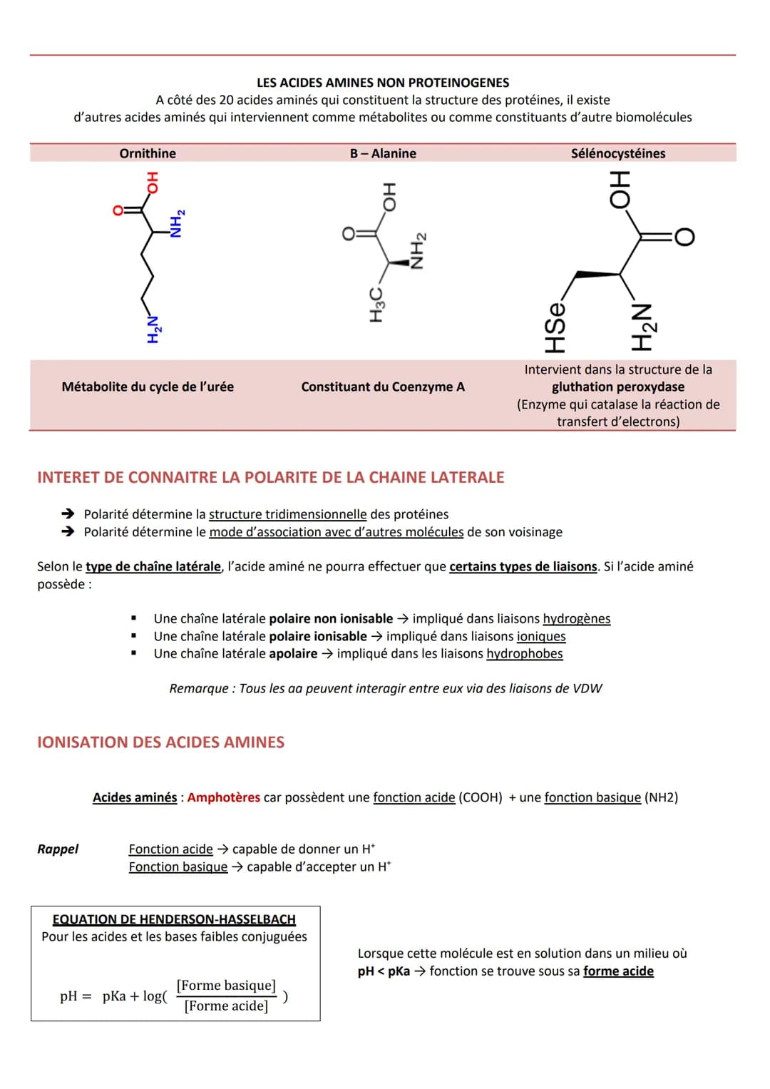 INTRODUCTION
Caractéristiques
CLASSIFICATION
RÔLES
➤ Agent de protection, de défense = immunoglobulines
➤ Régulation hormonale = Insuline, g