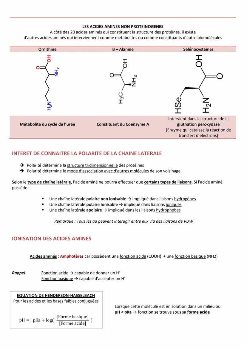 INTRODUCTION
Caractéristiques
CLASSIFICATION
RÔLES
➤ Agent de protection, de défense = immunoglobulines
➤ Régulation hormonale = Insuline, g