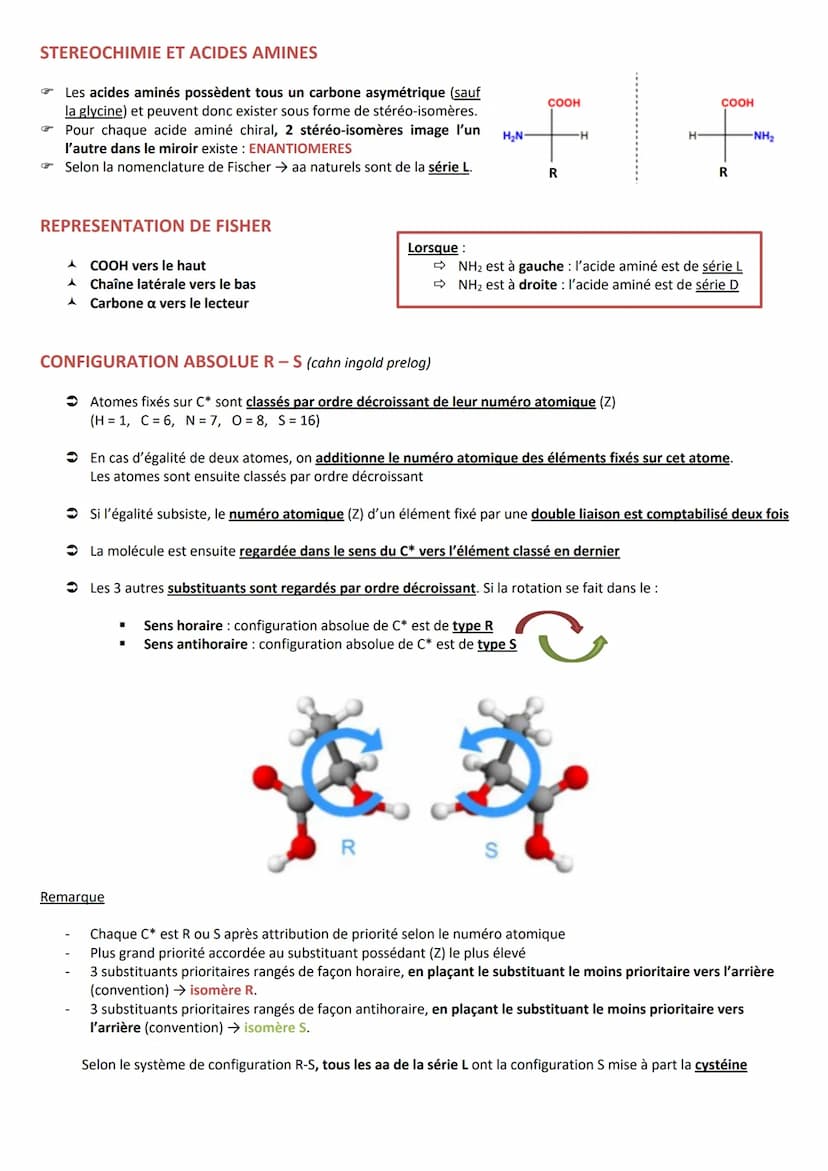 INTRODUCTION
Caractéristiques
CLASSIFICATION
RÔLES
➤ Agent de protection, de défense = immunoglobulines
➤ Régulation hormonale = Insuline, g