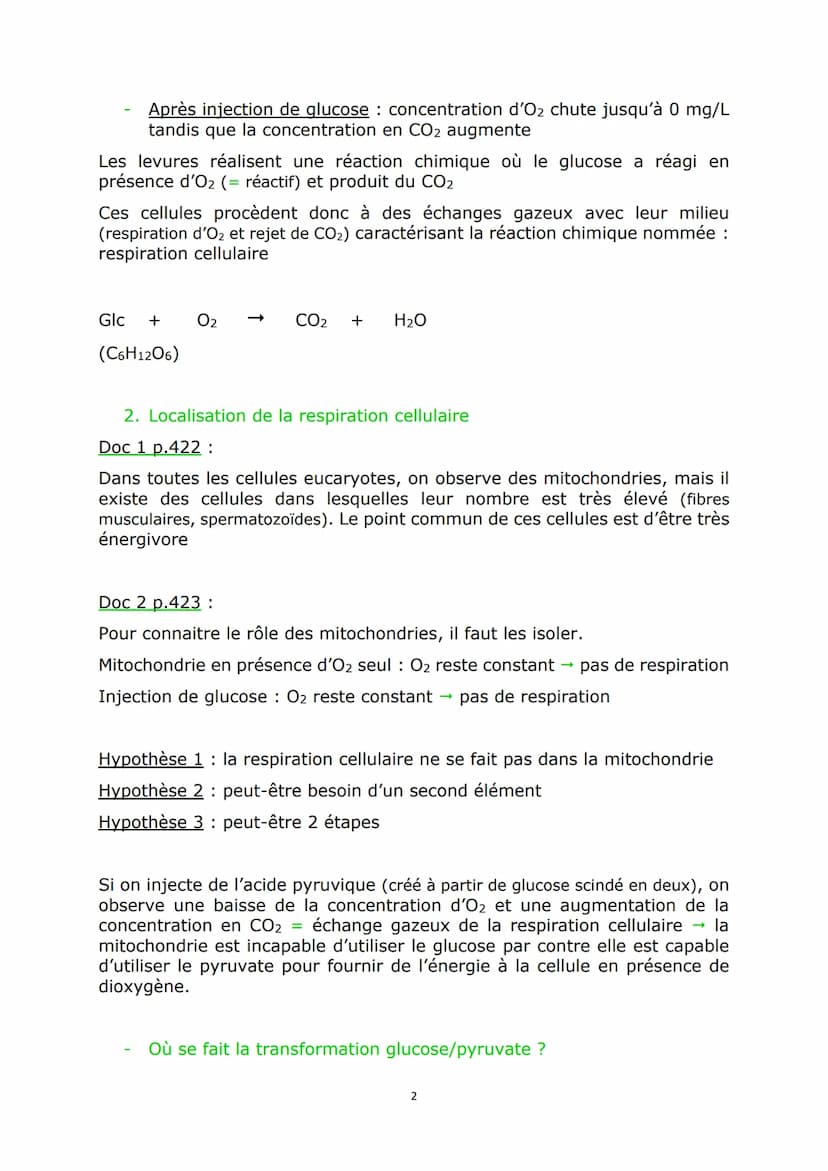 Chap2 : L'origine de l'ATP nécessaire aux activités
cellulaires
Doc 1 p.408:
Sans ATP, la fibre musculaire reste décontractée. Avec ATP, ell