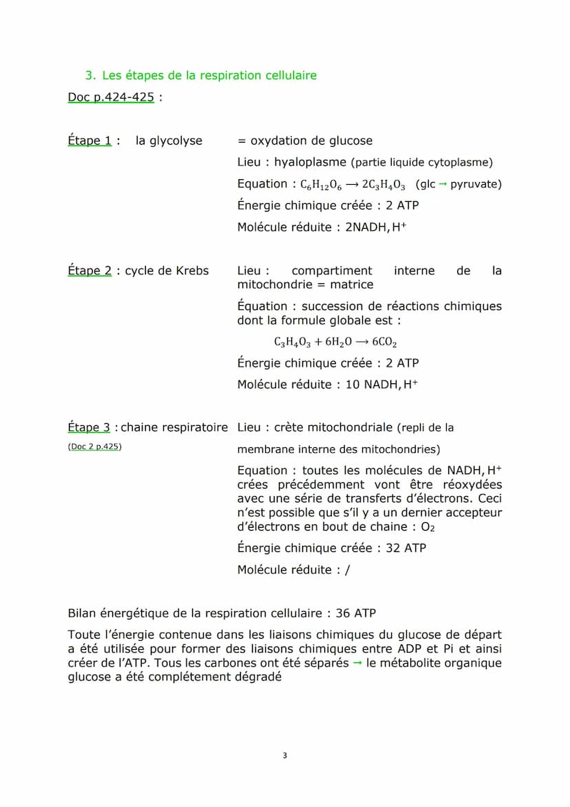 Chap2 : L'origine de l'ATP nécessaire aux activités
cellulaires
Doc 1 p.408:
Sans ATP, la fibre musculaire reste décontractée. Avec ATP, ell