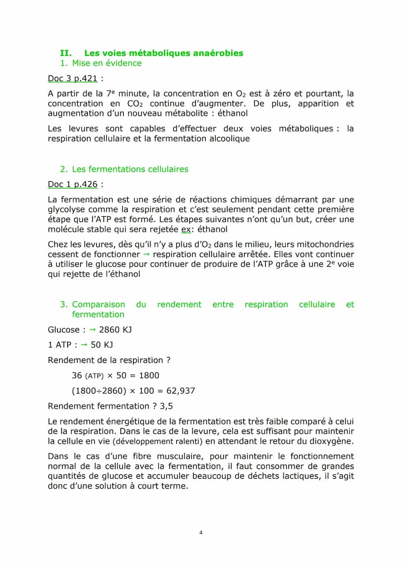 Chap2 : L'origine de l'ATP nécessaire aux activités
cellulaires
Doc 1 p.408:
Sans ATP, la fibre musculaire reste décontractée. Avec ATP, ell