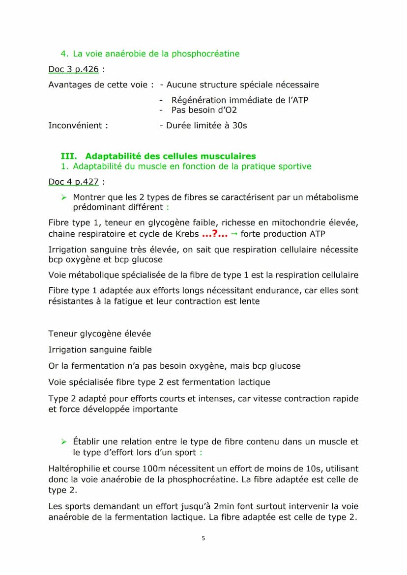 Chap2 : L'origine de l'ATP nécessaire aux activités
cellulaires
Doc 1 p.408:
Sans ATP, la fibre musculaire reste décontractée. Avec ATP, ell