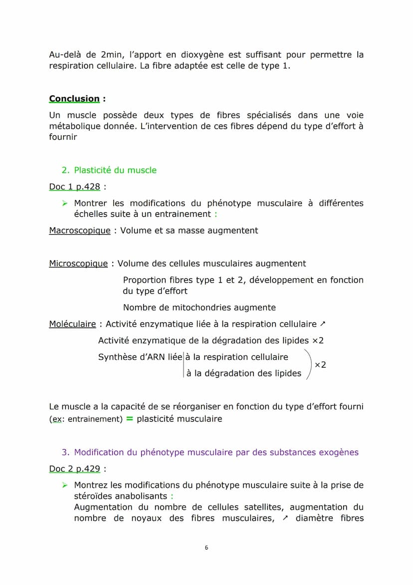 Chap2 : L'origine de l'ATP nécessaire aux activités
cellulaires
Doc 1 p.408:
Sans ATP, la fibre musculaire reste décontractée. Avec ATP, ell