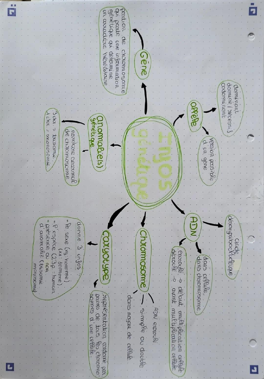 Les informations génétiques