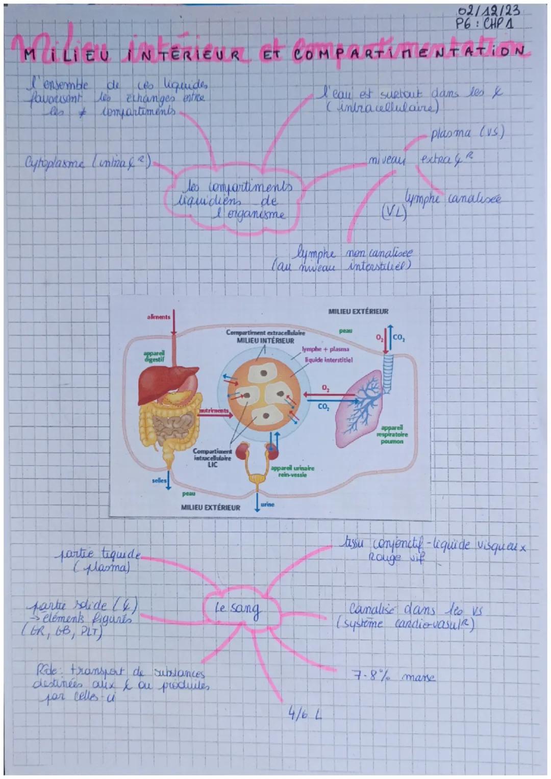 Milieu intérieur et compartimentation 