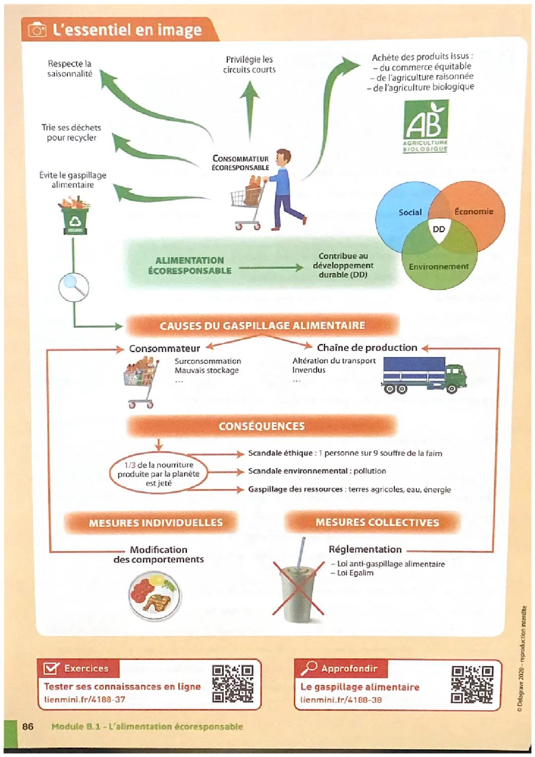 L’alimentation éco responsable 