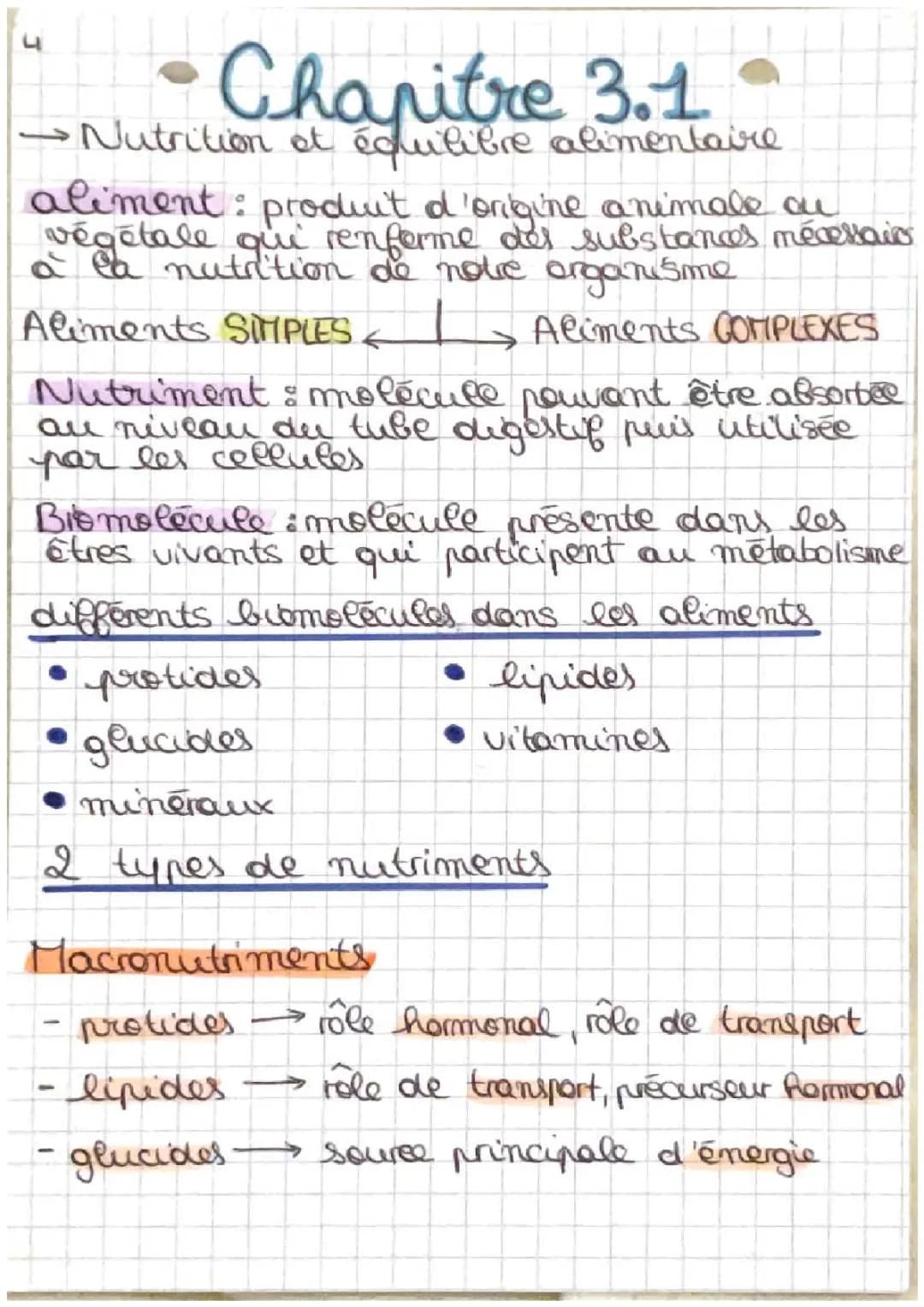 Besoins Nutritionnels et Repas Équilibrés pour Ados - PDF et Conseils