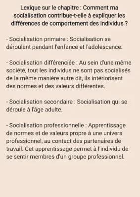 Know Lexique sur la socialisation (SES) thumbnail