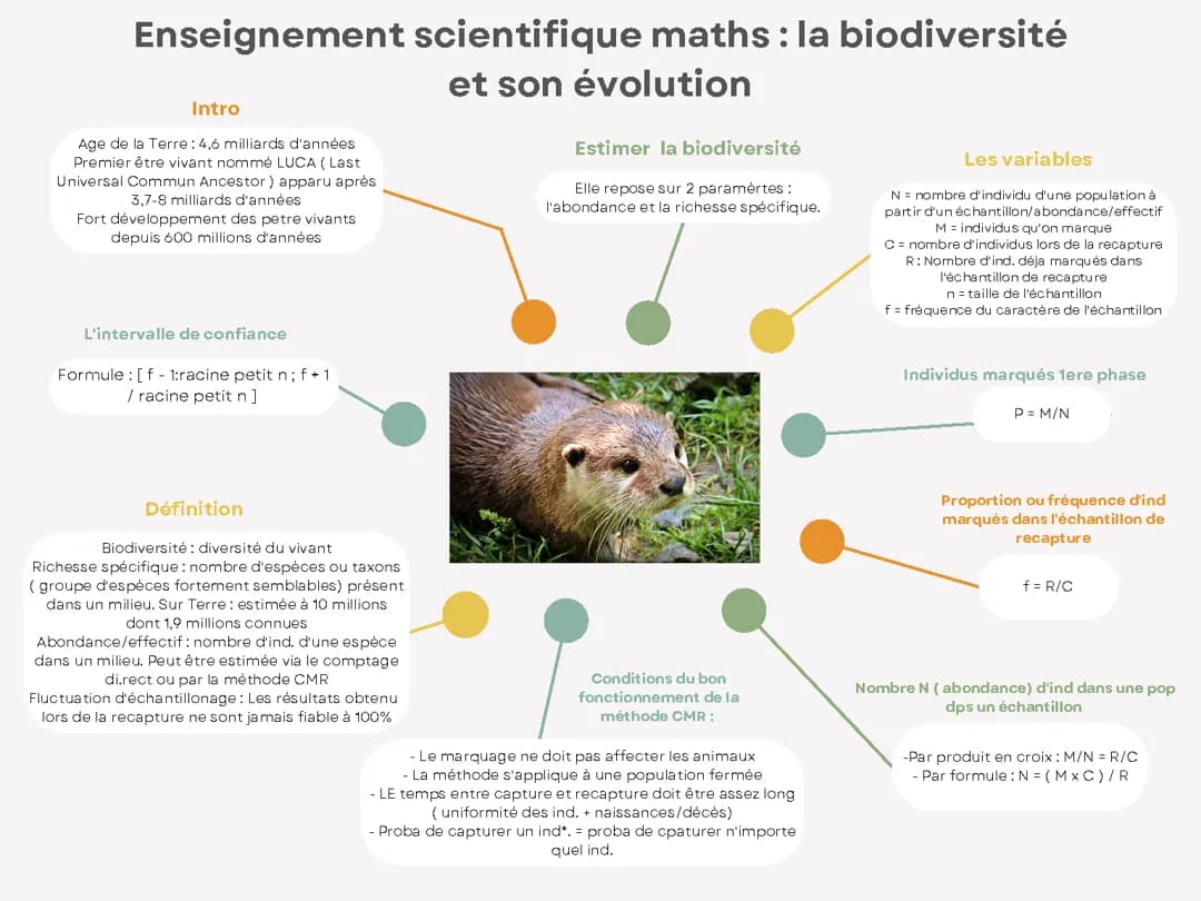 Enseignement scientifique maths : méthode CMR
