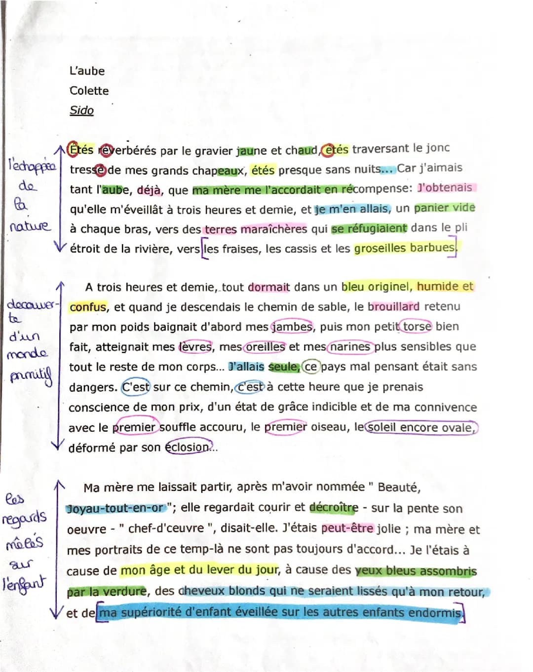 Lecture linéaire l’Aube de sido dans Colette 