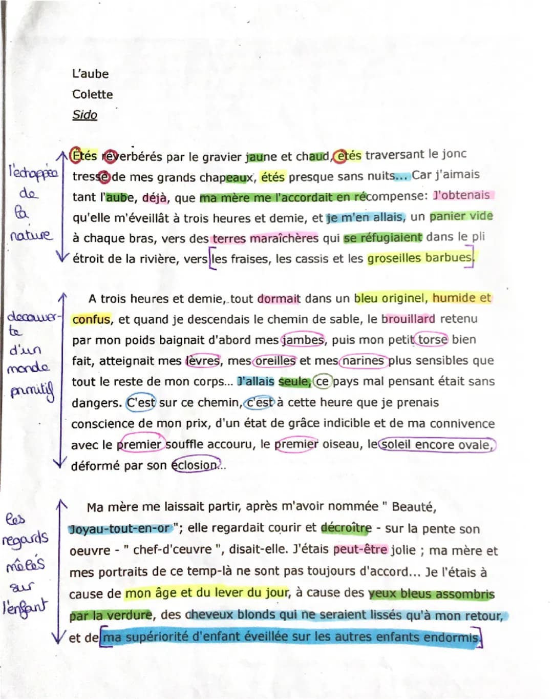 L'aube
Colette
Sido
Étés réverbérés par le gravier jaune et chaud, etés traversant le jonc
l'echopped tresse de mes grands chapeaux, étés pr