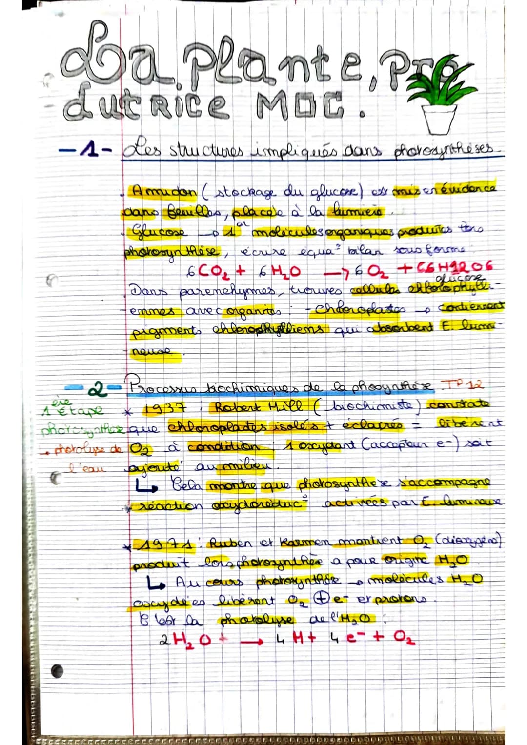 La plante, p
PIC
dutrice MDC.
-1- Les structures impliqués dans photosyntheses.
Amidon ( stockage du glucose) est mis en évidence.
dans feui