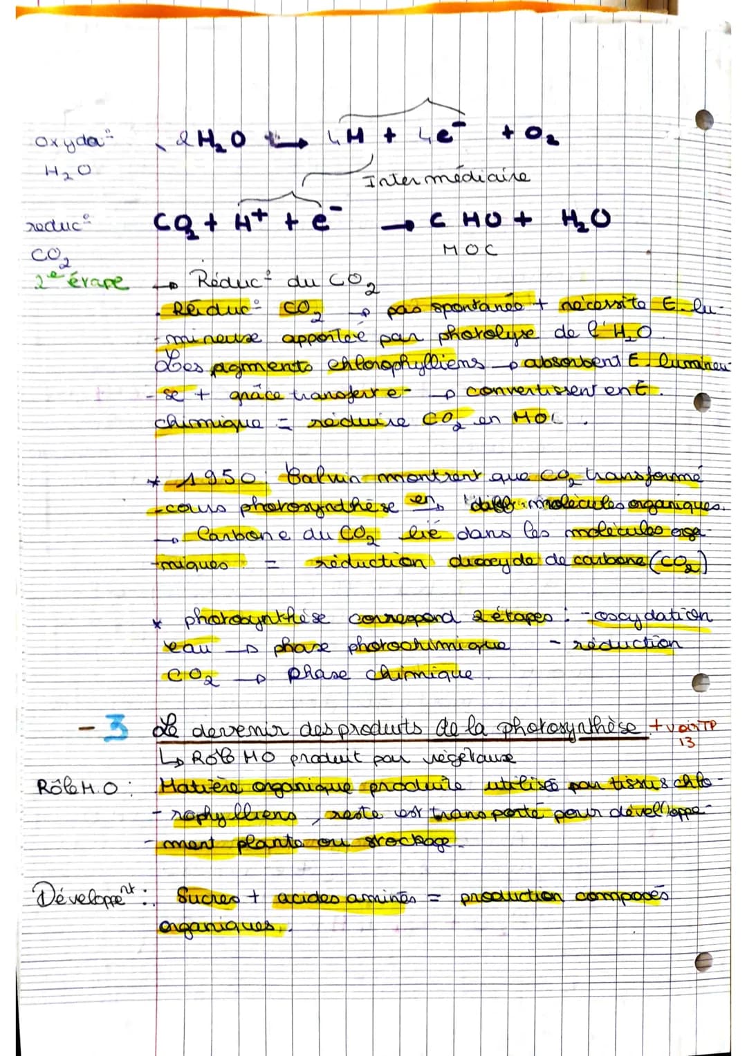 La plante, p
PIC
dutrice MDC.
-1- Les structures impliqués dans photosyntheses.
Amidon ( stockage du glucose) est mis en évidence.
dans feui