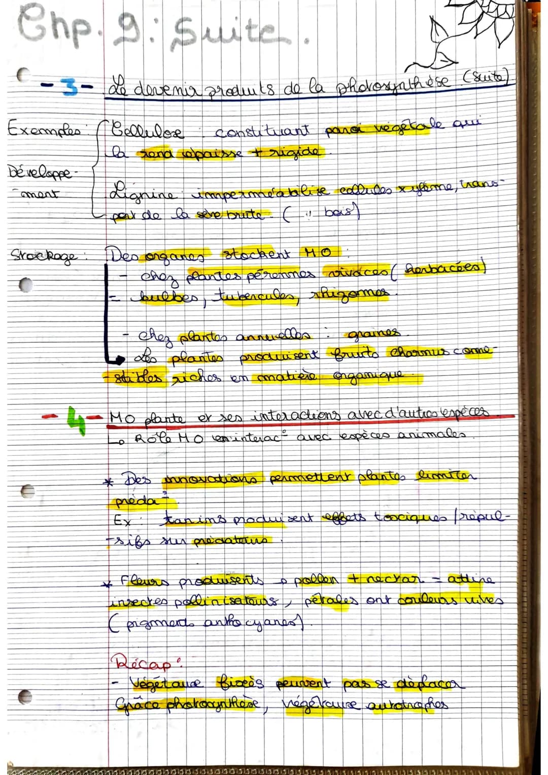 La plante, p
PIC
dutrice MDC.
-1- Les structures impliqués dans photosyntheses.
Amidon ( stockage du glucose) est mis en évidence.
dans feui