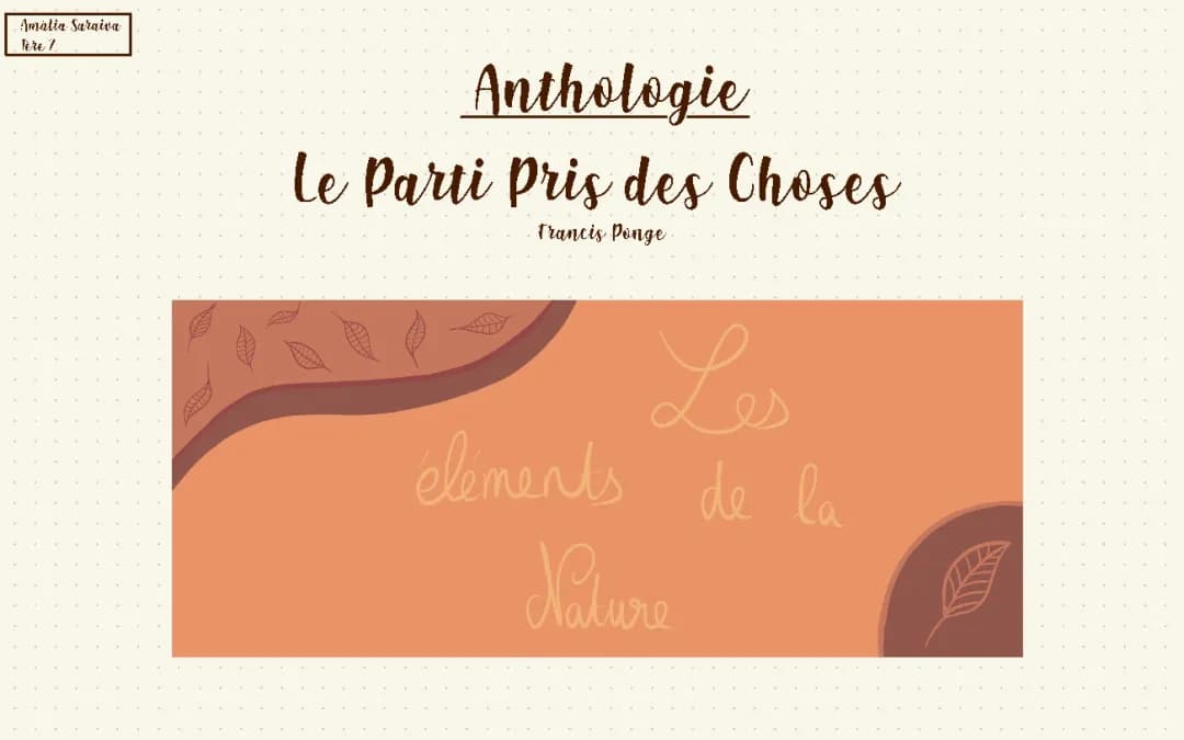 Tout sur Le Parti pris des choses : Résumé, Poèmes et Analyse