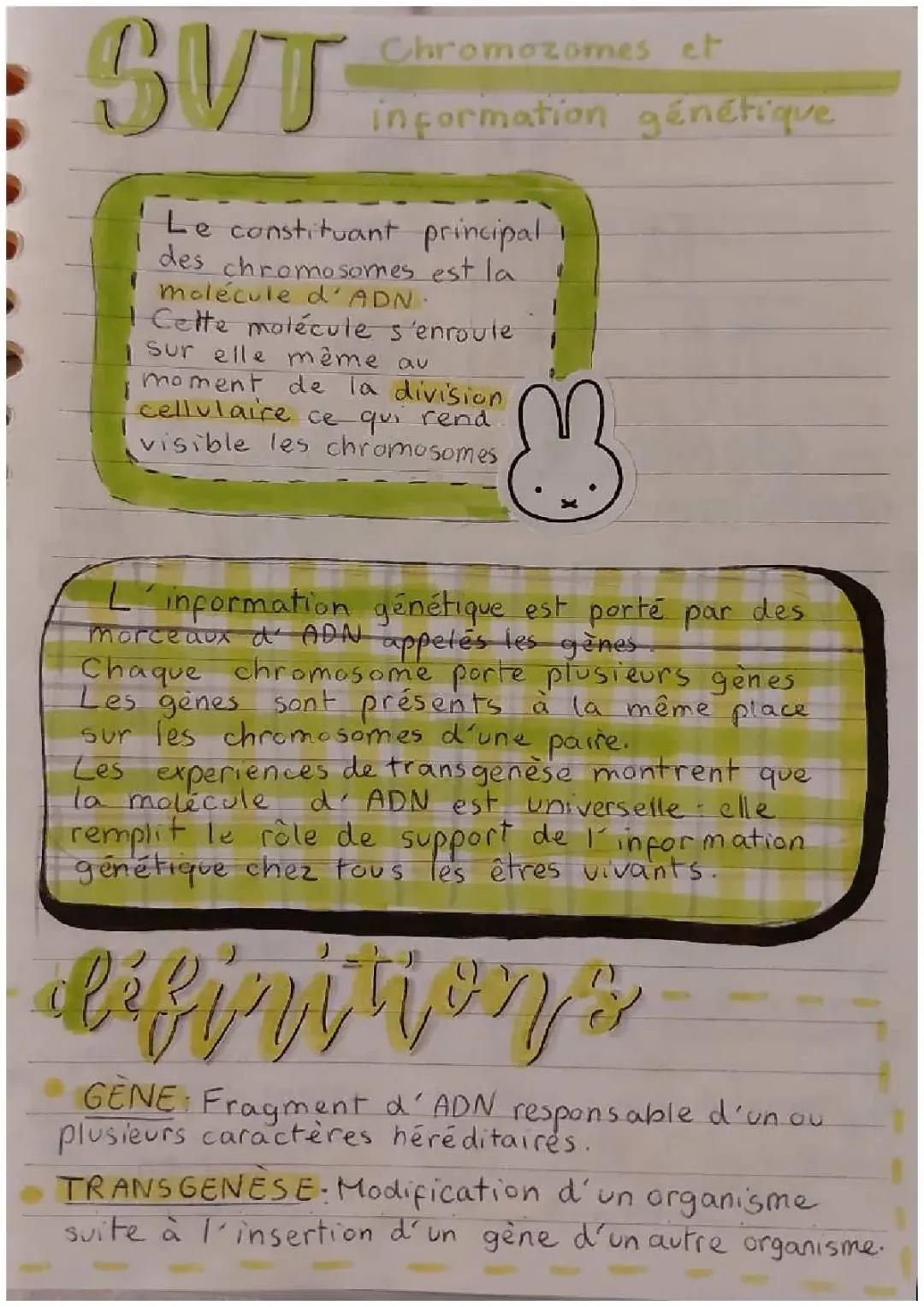 Chromosomes et information génétique 