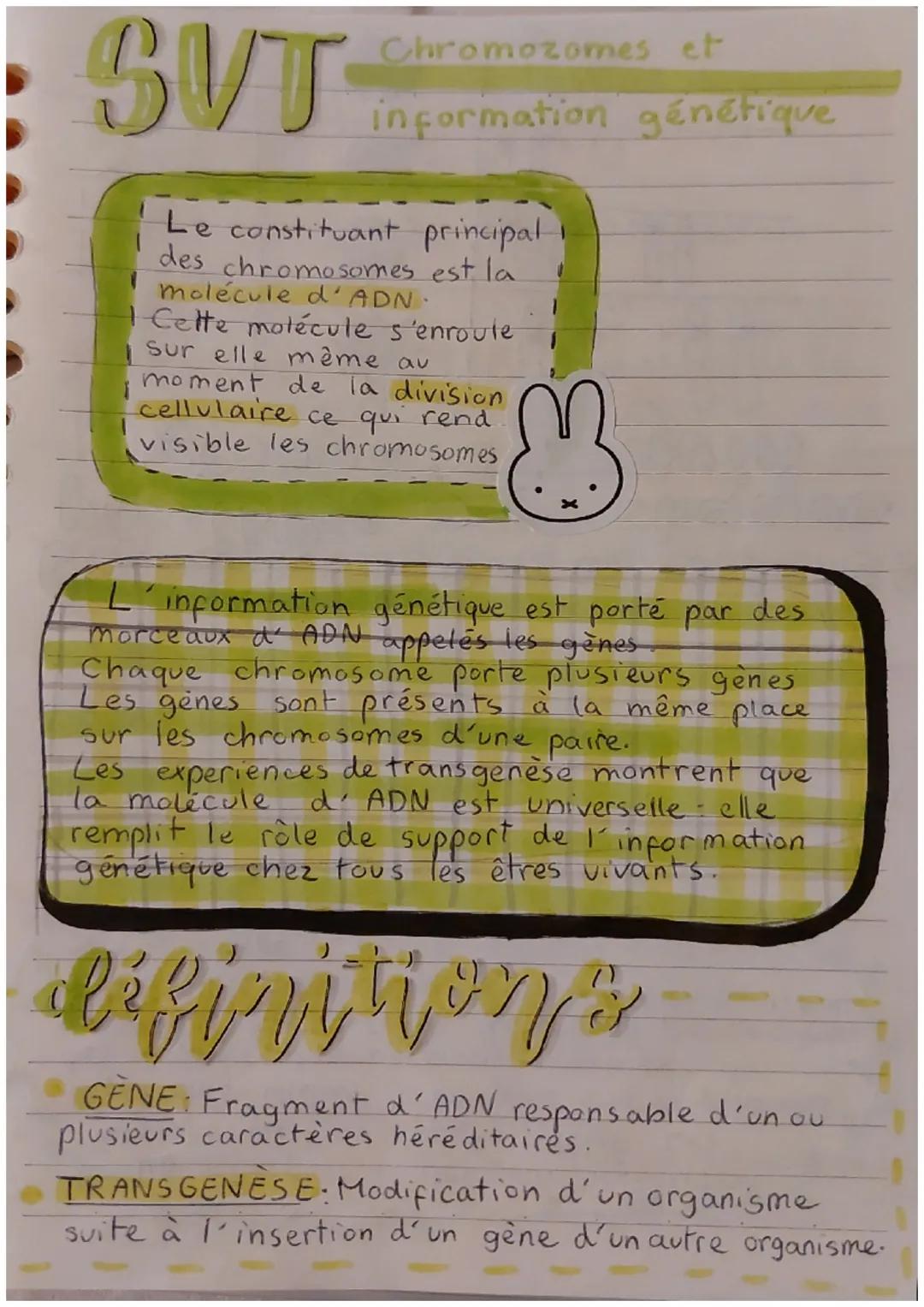 SUT
Chromozomes et
information génétique
Le constituant principal
des chromosomes est la
molécule d'ADN.
Cette molécule s'enroule
sur elle m