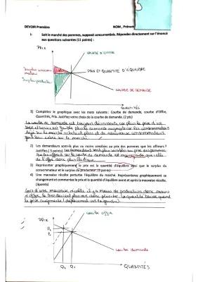 Know Devoir de SES : Comment un marché concurrentiel fonctionne-t-il ? thumbnail