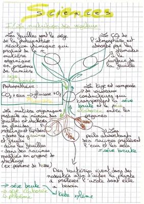 Know Nutrition plante+animaux, reproduction et respiration  thumbnail